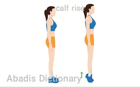 calf rise
